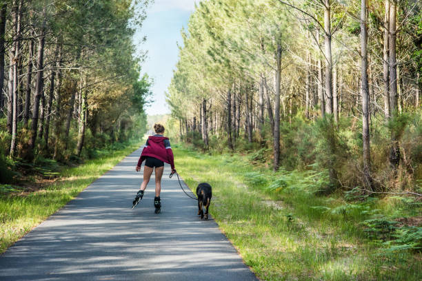 istock young woman rollerblading with her dog 1322464690
