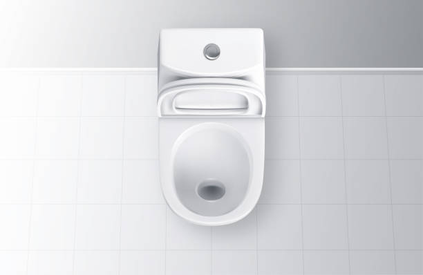 istock Vector realistic open white ceramic toilet. Top view toilet bowl with lid. 1322464911