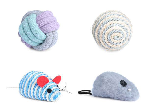 istock Set with different toys for pet on white background 1322466276