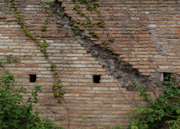 Ancient brick wall with ivy twigs climbing on it. Vintage background. The photo was taken in Rome, Italy.