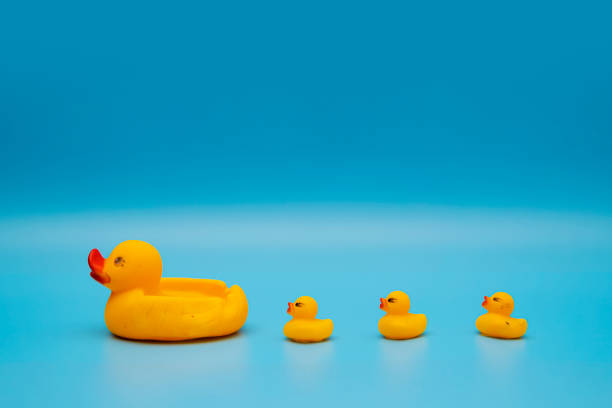 istock rubber ducks manage to line up on a blue background 1322469645