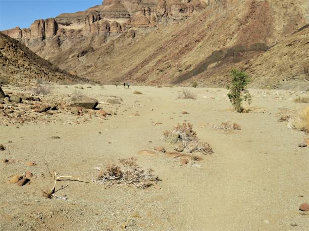 istock Hiking in the Fish River Canyon in Namibia. 1322469677