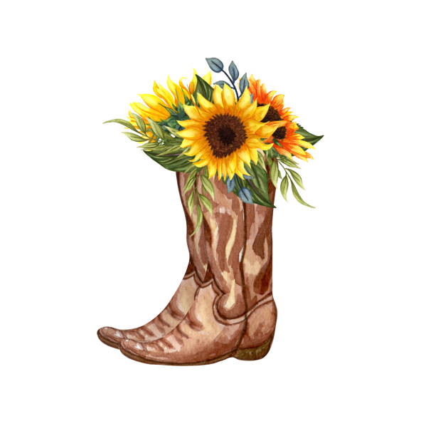 Watercolor Flowers in boots. Cowboy boot and sunflowers. Farmhouse rustic clipart isolated on white background. Watercolor Flowers in boots. Cowboy boots and sunflowers. Farmhouse rustic clipart isolated on white background country fashion stock illustrations