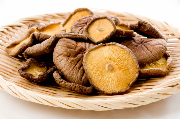 funghi shitake essiccati su setaccio. - shiitake mushroom mushroom dried food dried plant foto e immagini stock