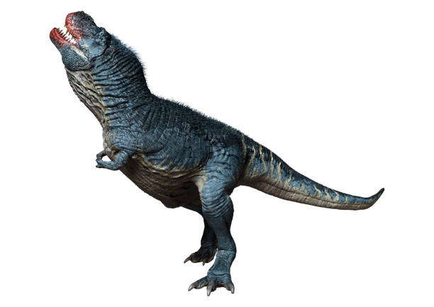 istock 3D illustration dinosaur Tyrannosaurus Rex on white 1322473118