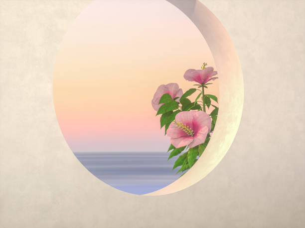 3d rendering.