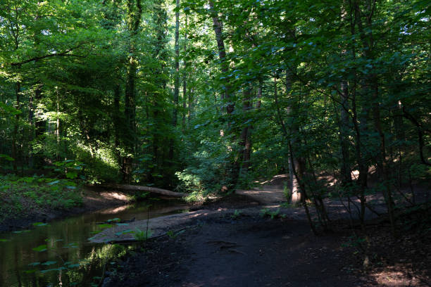istock A hiking path in the 