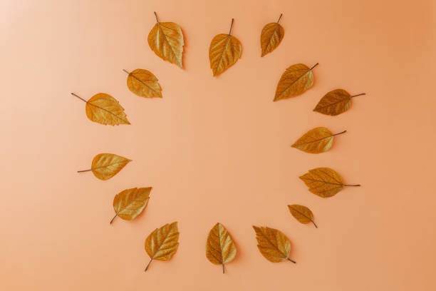 istock Beautiful autumn orange leaves with blank copy space in a middle centre on orange pastel background. Hello Autumn of thanksgiving holiday concept.Minimalistic creative concept 1322476930