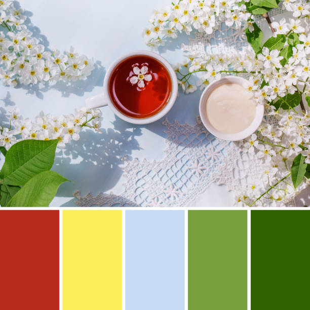istock Spring still life with bird cherry flowers, herbal tea and honey cream. 1322479031