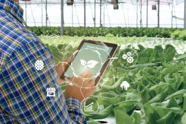 istock smart farming,agriculture industry technology concept, farmer using tablet to control in planting, farm, with high technology to monitor, check, control for best performance, efficiency, high profit 1322481334