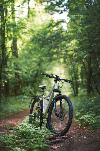 Mountain bicycle standing on a forest trail. Countryside cycling