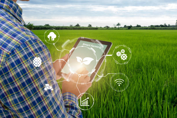 istock smart farming,agriculture industry technology concept, farmer using tablet to control in planting, farm, with high technology to monitor, check, control for best performance, efficiency, high profit 1322481357