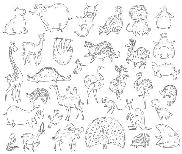 귀여운 세트 동물. 벡터 검은 흰색 만화 낙서 문자 일러스트레이션. - zoo animal safari giraffe stock illustrations