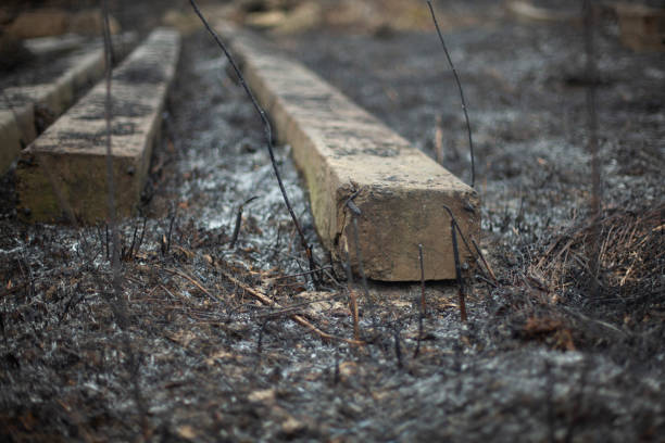 istock Concrete beams on the ground. Build materials after a fire. 1322485191