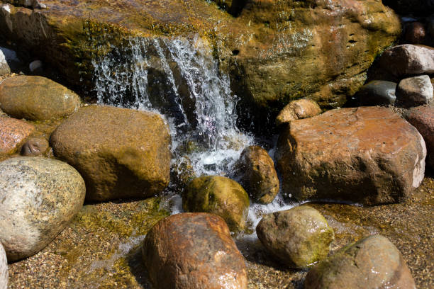 A mountain stream pours on the stones. Waterfall in the river. Rapids on the stream. The stones are wet with water. Beautiful background of a waterfall.