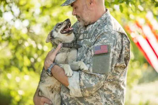 Photo of Soldier with military dog outdoors