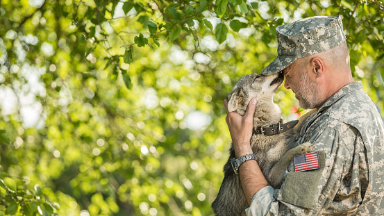 Soldier with military dog outdoors