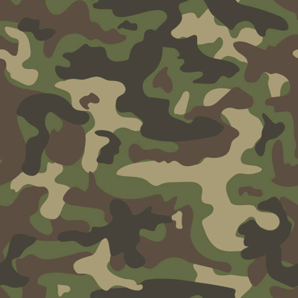 Camouflage seamless pattern. Camouflage seamless pattern. Abstract vector military background. camouflage stock illustrations