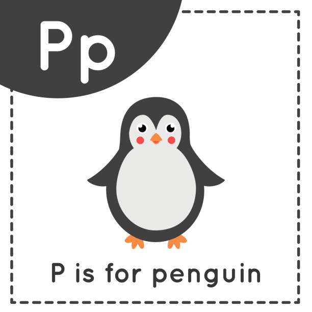  Letra P Para Penguin Ilustraciones, gráficos vectoriales libres de derechos y clip art