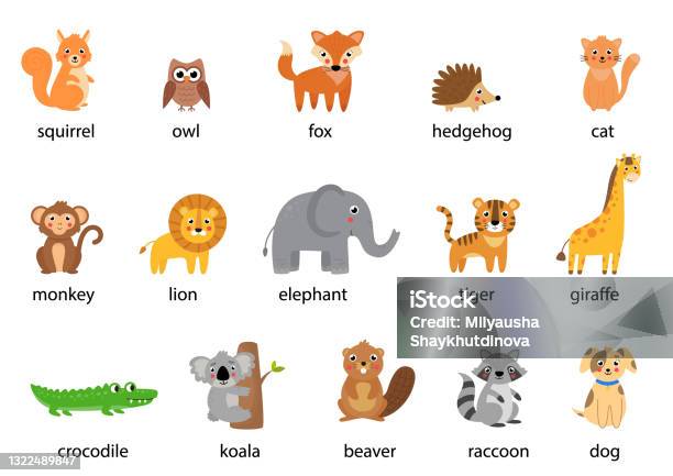 Set Of Cute Cartoon Animals With Names Vector Illustrations Stock  Illustration - Download Image Now - iStock