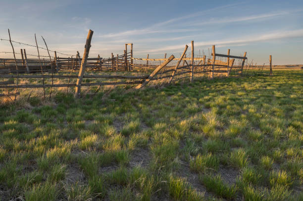 istock Old Corral near Val Marie, Saskatchewan 1322490066
