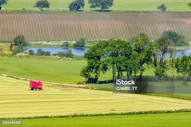 Landscape View With Field Trees And A Lake Stock Photo - Download Image Now - Patchwork Landscape, Aerial View, Agricultural Equipment