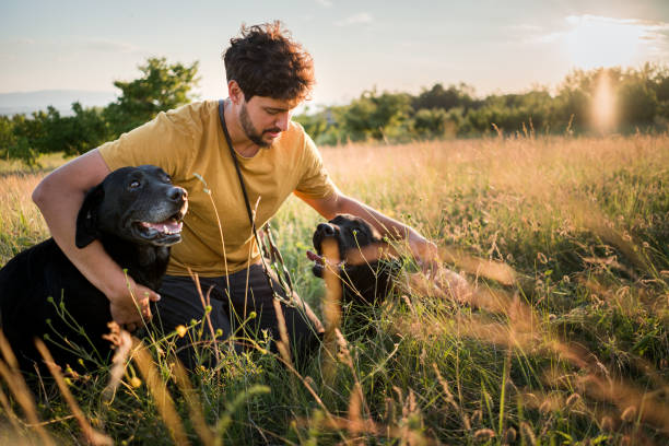 istock Man enjoys with his dogs 1322494766