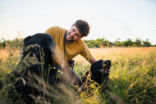 istock Man with dog walking on meadow at sunset 1322495724
