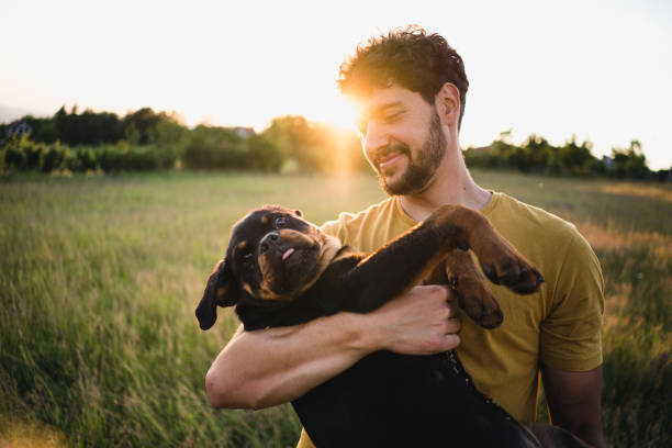 子犬を抱いた男 - pets embracing one person portrait ストックフォトと画像