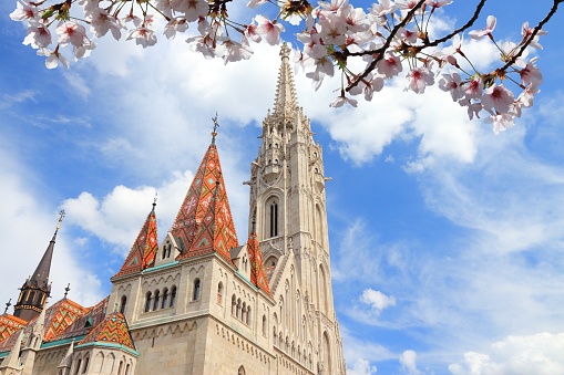 Budapest, Hungary - famous Matthias Church. Gothic Roman Catholic church. Spring time cherry blossoms.
