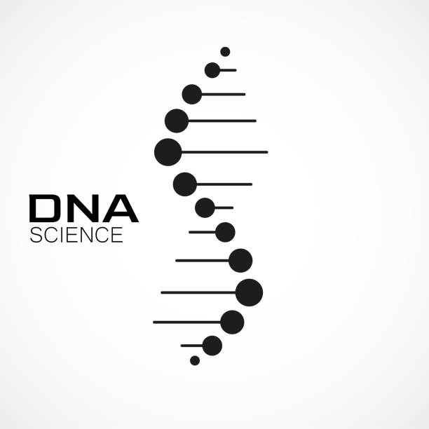 dna-logo-design. vektorvorlage für wissenschaft und medizin - helixmodell stock-grafiken, -clipart, -cartoons und -symbole