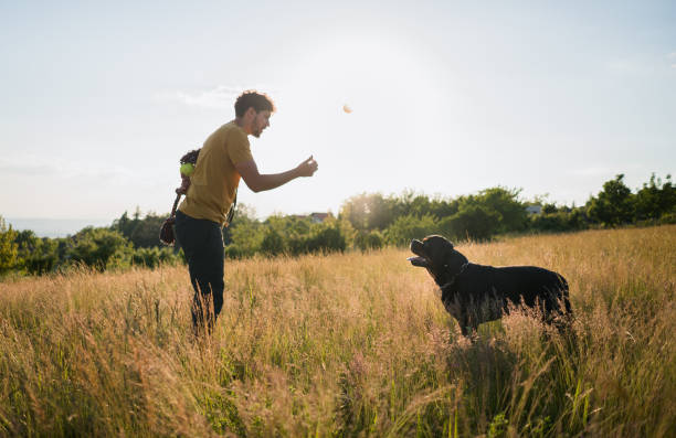 istock Man trains a dog in a field 1322498021
