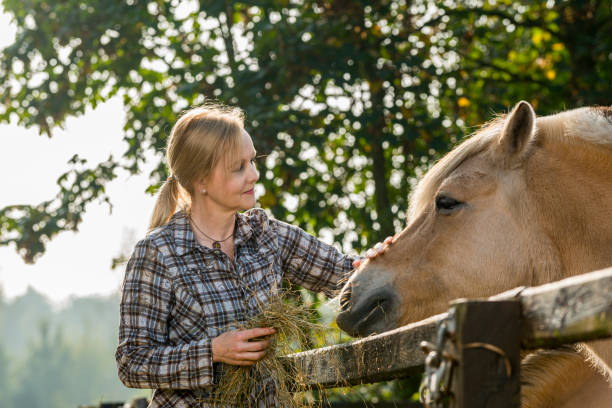 istock Woman feeding her horses 1322498157