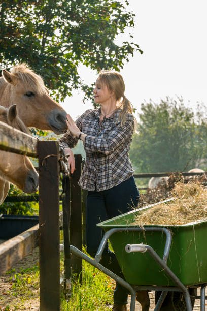 istock Woman feeding her horses 1322498169
