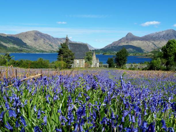 istock Ballachulish bluebells 1322499475