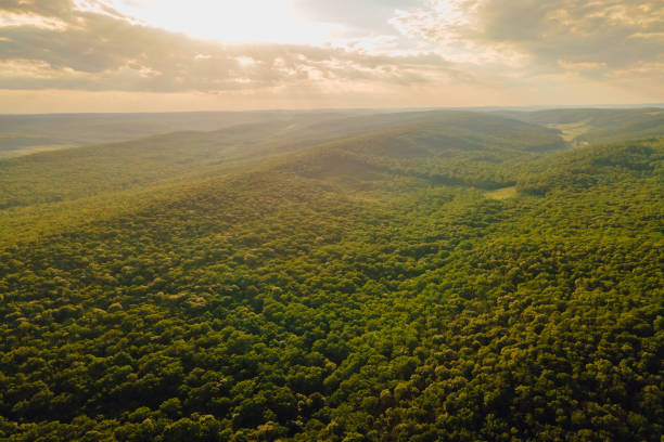 istock aerial view, the drone's flight over the rainforest with a formidable sunset 1322501238