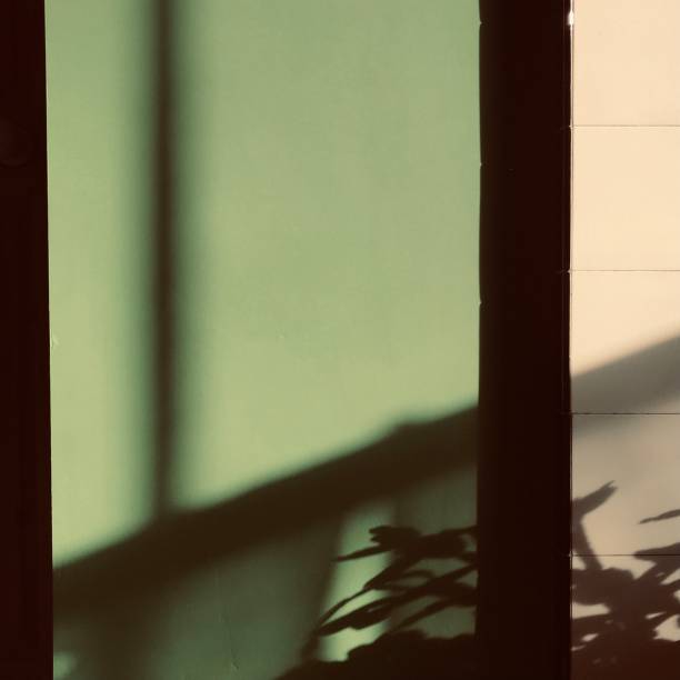 istock Green wall and shadows. 1322505858