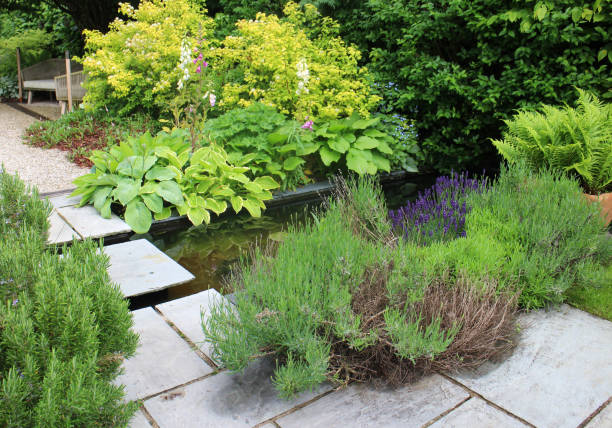 istock Formal Garden Pond 1322508339
