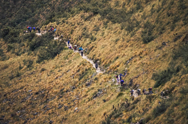 Backpackers going up the inca trail path stock photo