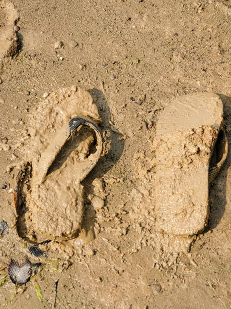 Muddy shoes stock photo