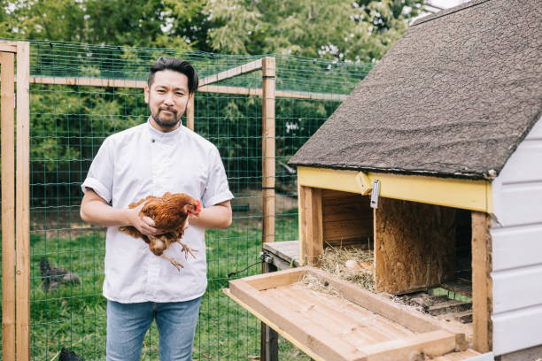 istock Smiling Japanese man holding a chicken. 1322511703