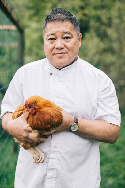 istock Japanese chef showing free range chicken 1322511710