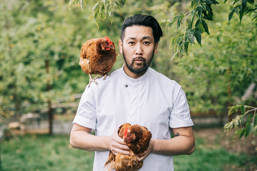 Funny Japanese chef, holding a chicken for portrait.