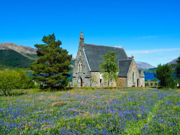 istock Churchyard bluebells 1322512717
