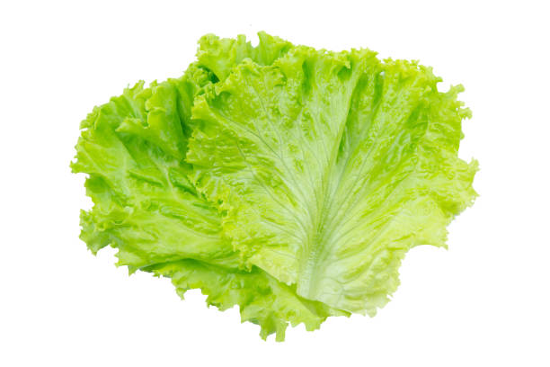 istock Lettuce. Salad leaf isolated on white background with clipping path 1322515406