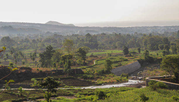istock Rice fields and rivers can be seen very clearly 1322516747