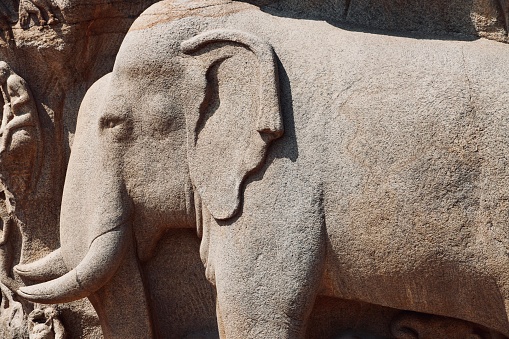 Ancient carvings of animal sculpture carved on the stones in Mahabalipuram.