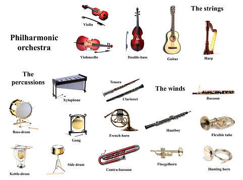 Instructional poster for school - philharmonic orchestra instruments isolated on white background