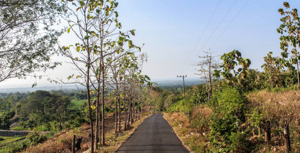 istock Landscape view of mountain road surrounded by trees 1322522446