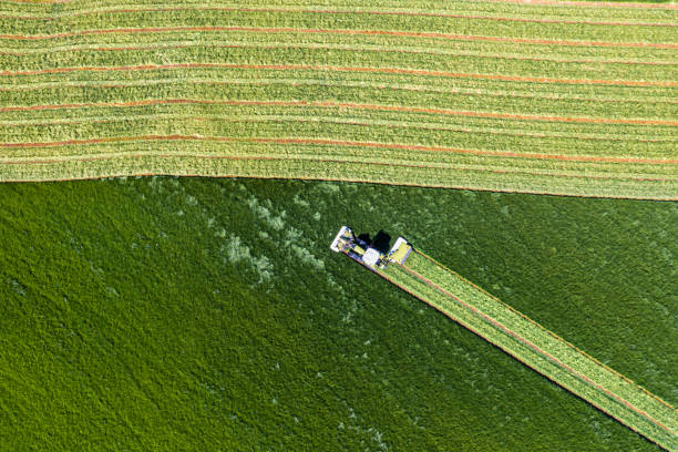 istock Aerial view of grass being cut for silage 1322523376